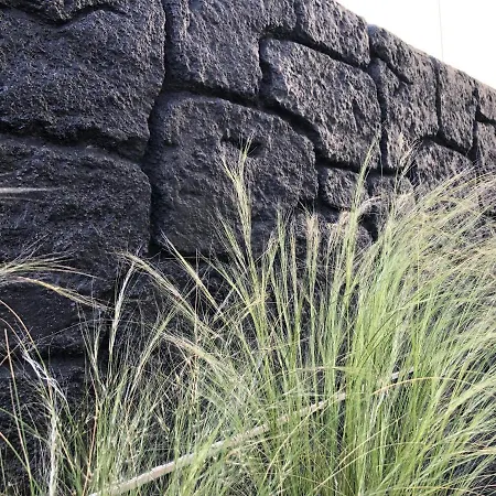 아파트호텔 Dragonfly