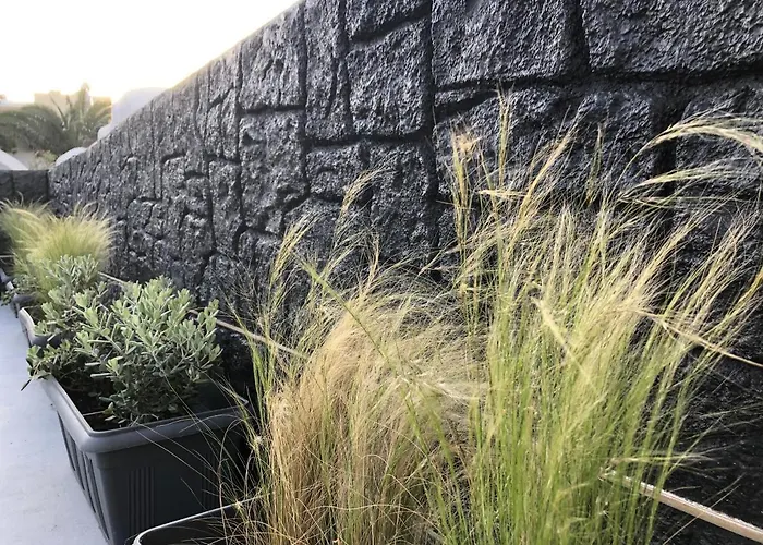 Dragonfly 4* Kamári