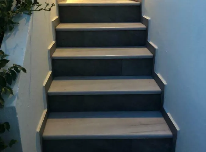 Dragonfly Lejlighedshotel