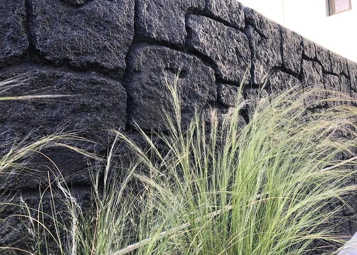 Apartahotel Dragonfly